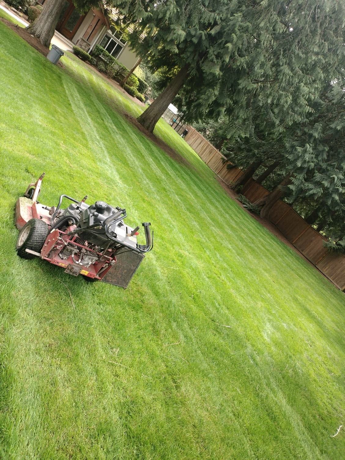 Freshly striped lawn with a commercial mower