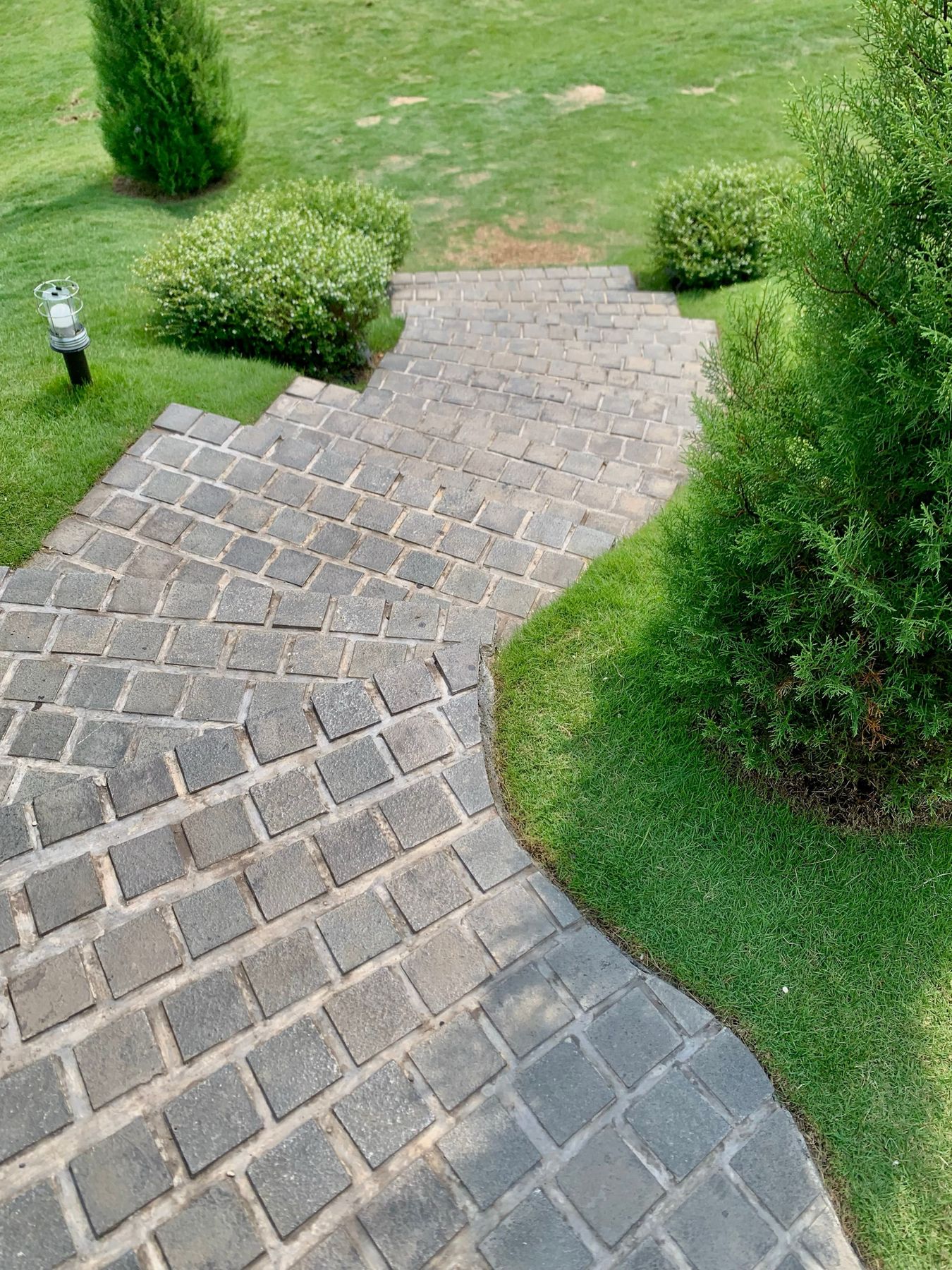 Curved paver walkway through a manicured lawn