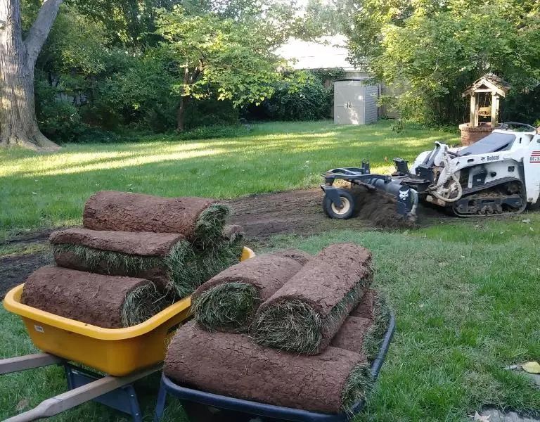 Sod rolls ready for installation